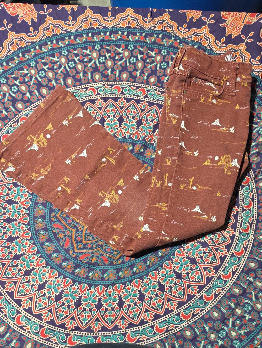 Wrangler Brown Slim Straight Jeans with Desert Print